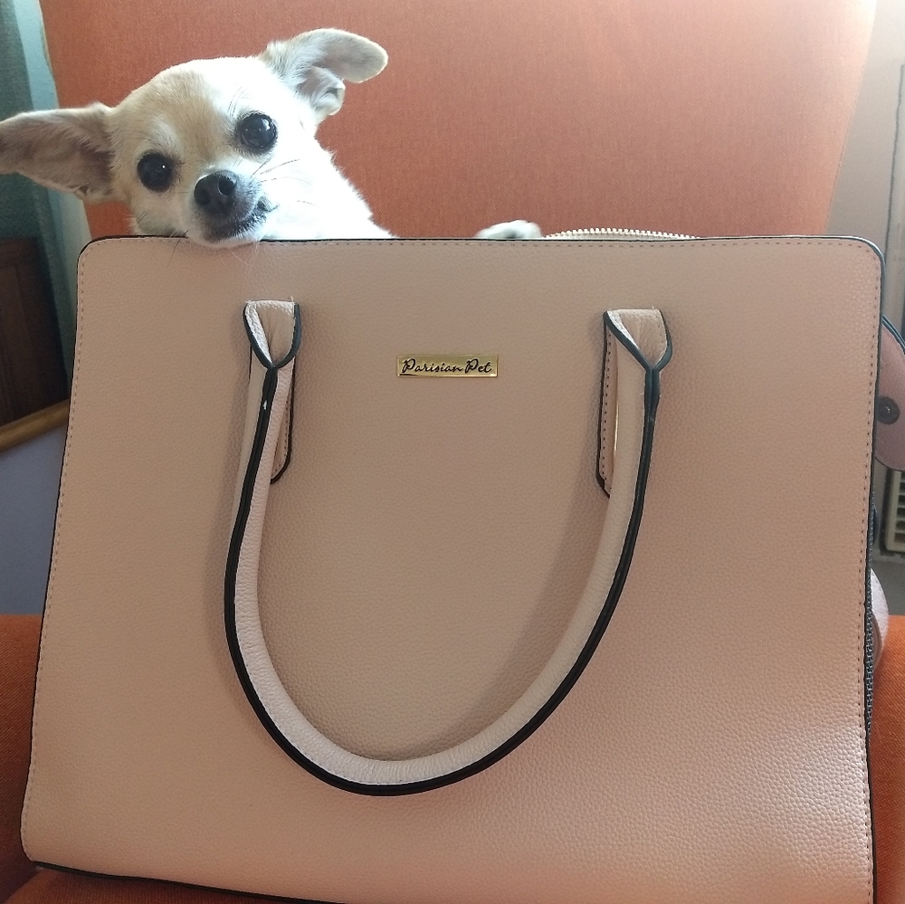 Dog Purse